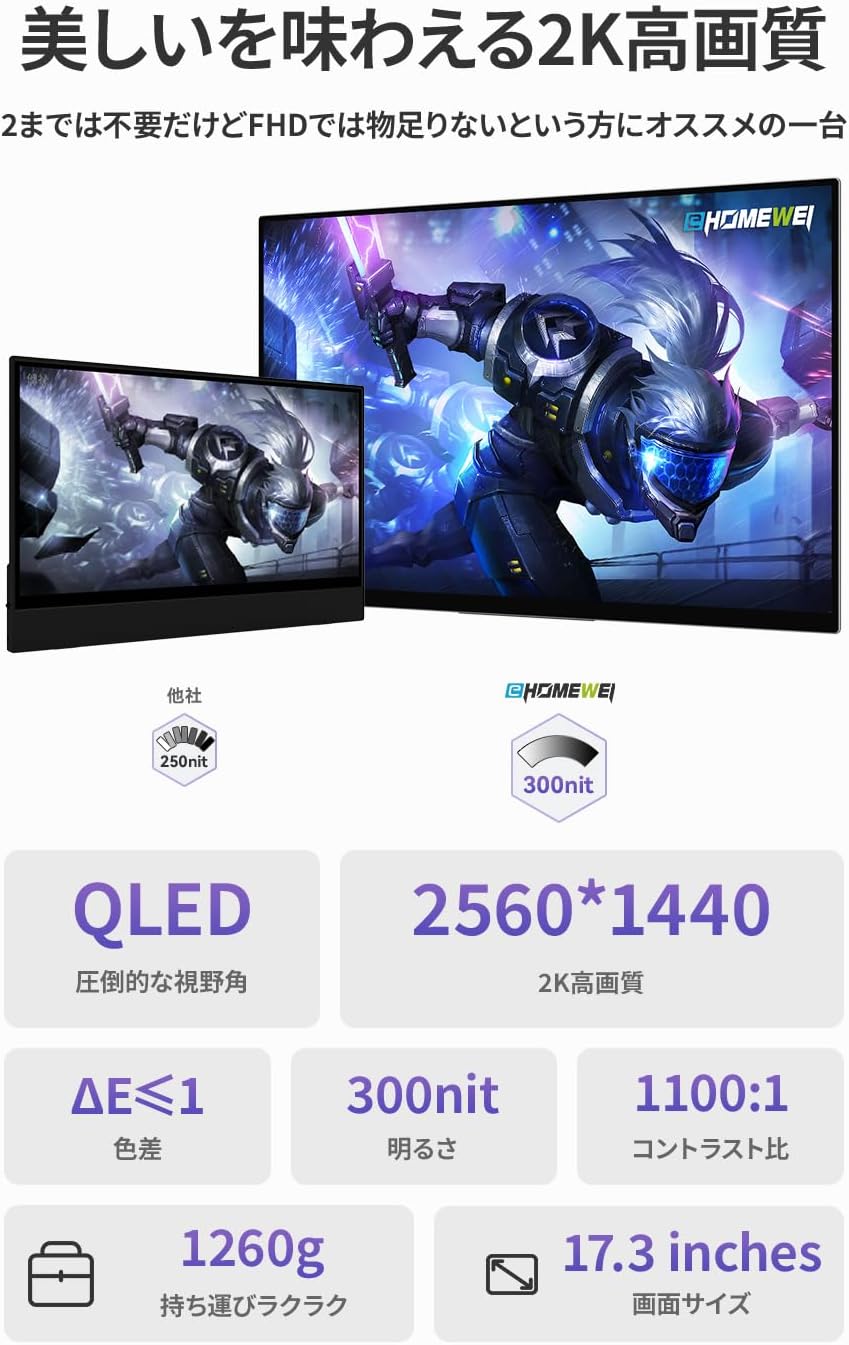 17.3インチ 2560×1440 265Hz RQHG-173NW