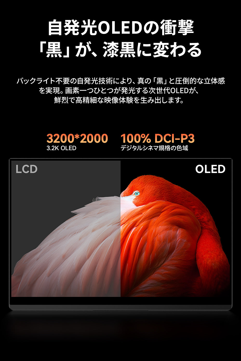 【新商品】ROG-160PQ