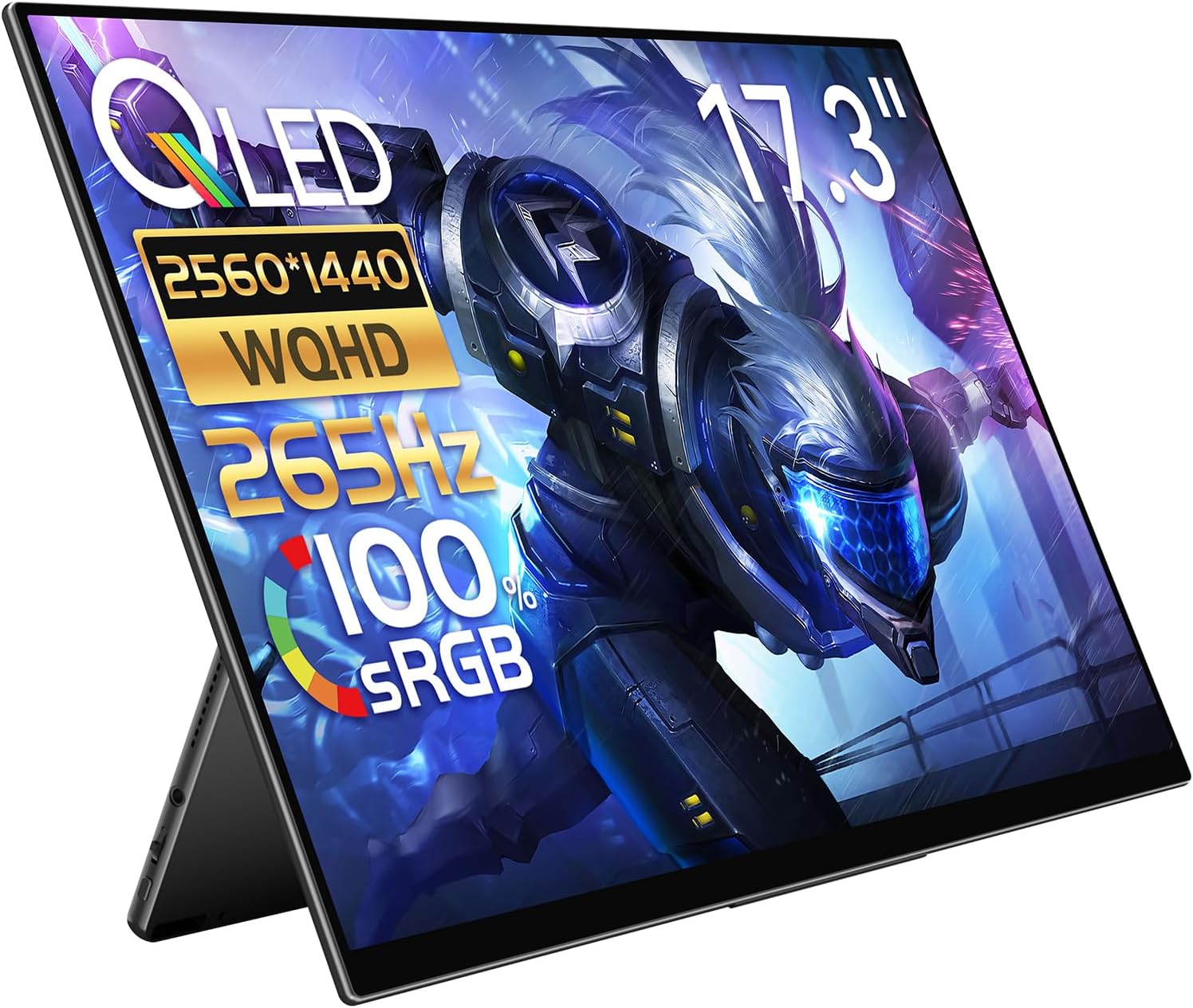 17.3インチ 2560×1440 265Hz RQHG-173NW
