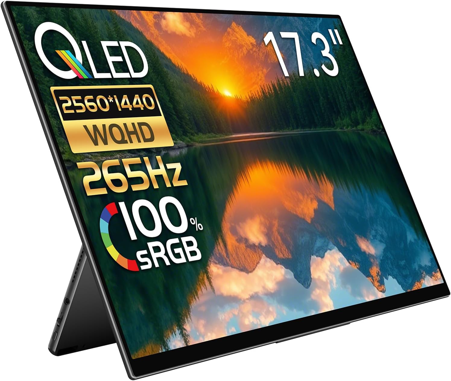 17.3インチ 2560×1440 265Hz RQHG-173NW